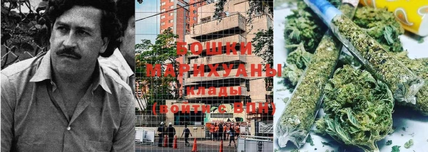 экстази Бикин