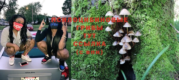 каннабис Билибино