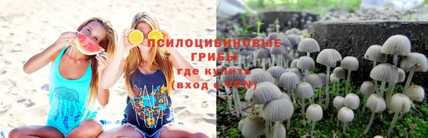 спиды Зерноград