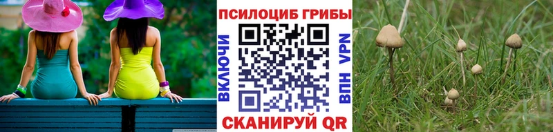 Псилоцибиновые грибы прущие грибы  Купить закладки  Истра 